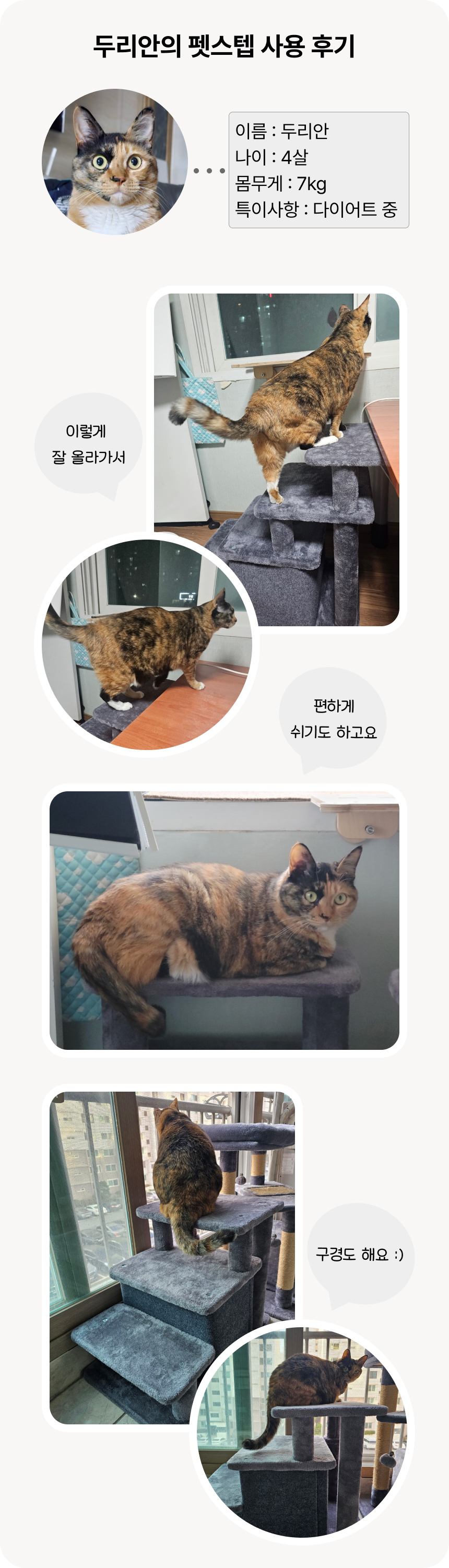 [NEW신상][무료배송] 어몽더펫 고양이 계단 3·4단 겸용 높이 68cm 캣스텝 7번째