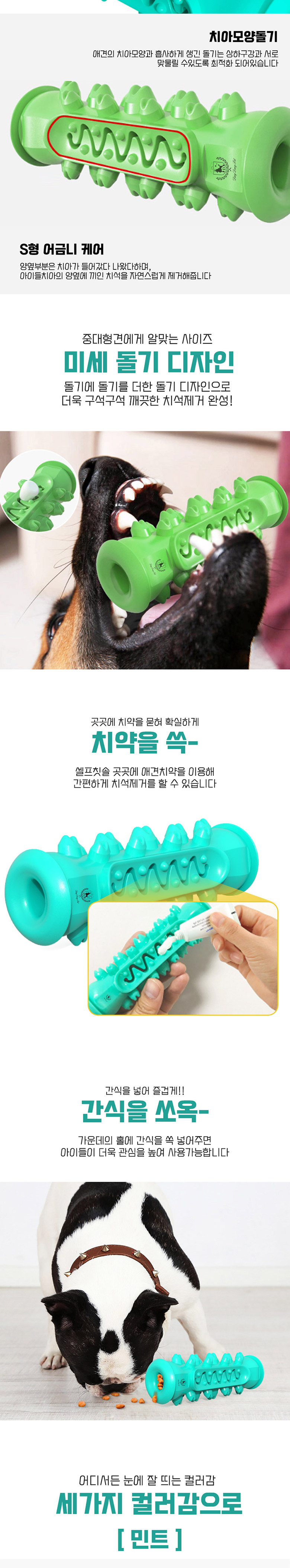 [무료배송] 딩동펫 반려동물 치석제거 도돌이 셀프칫솔 민트/옐로우/그린 3번째