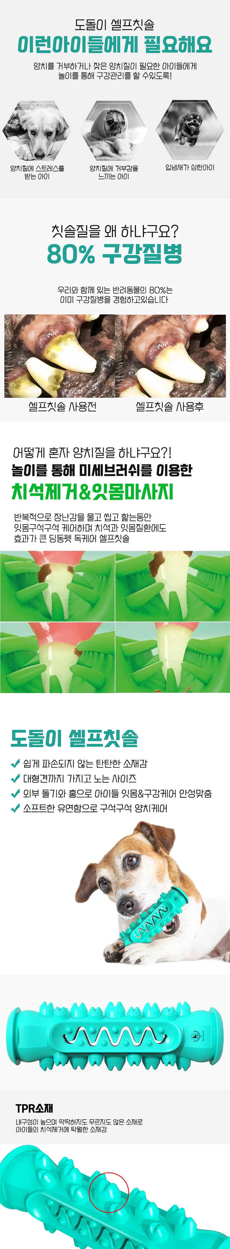 [무료배송] 딩동펫 반려동물 치석제거 도돌이 셀프칫솔 민트/옐로우/그린 2번째