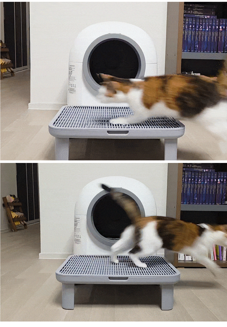 [NEW신상][무료배송] 애구애구 캣 모래 발판 매트 루퍼스텝 22번째