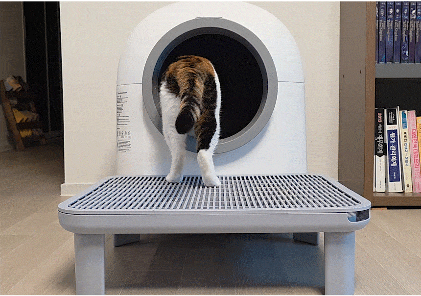 [NEW신상][무료배송] 애구애구 캣 모래 발판 매트 루퍼스텝 5번째