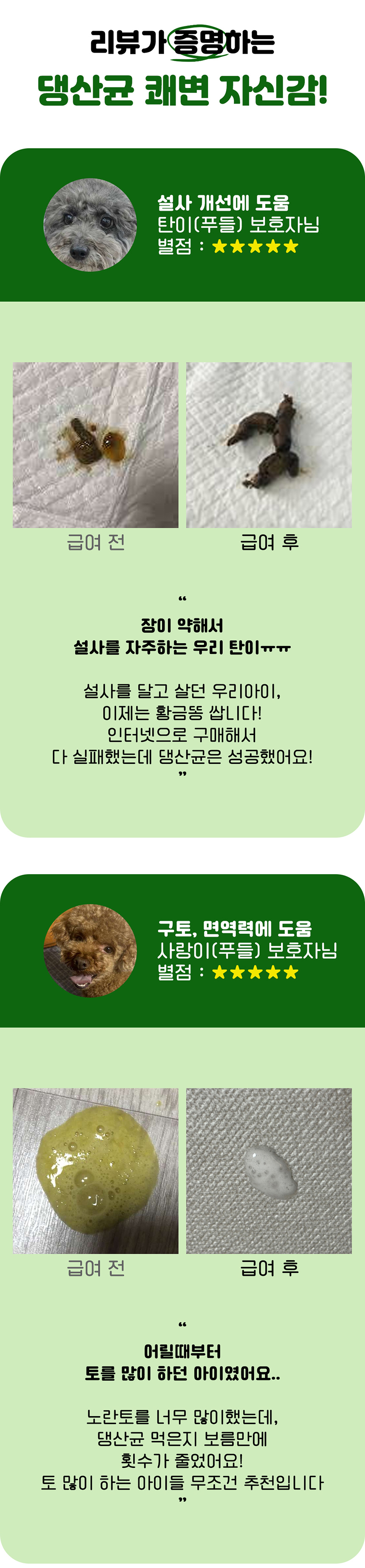 [무료배송] 멍보스 댕산균 국제 PCT 특허 유산균 프로바이오틱스 영양제 60g 8번째
