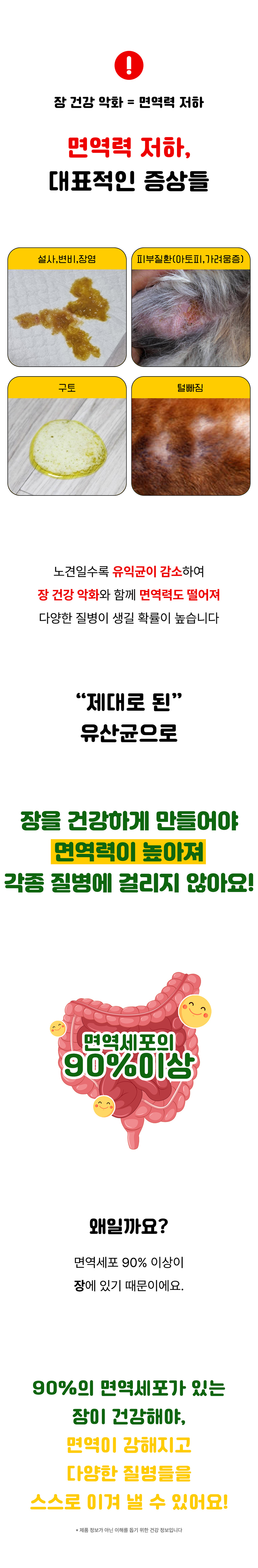 [무료배송] 멍보스 댕산균 국제 PCT 특허 유산균 프로바이오틱스 영양제 60g 17번째