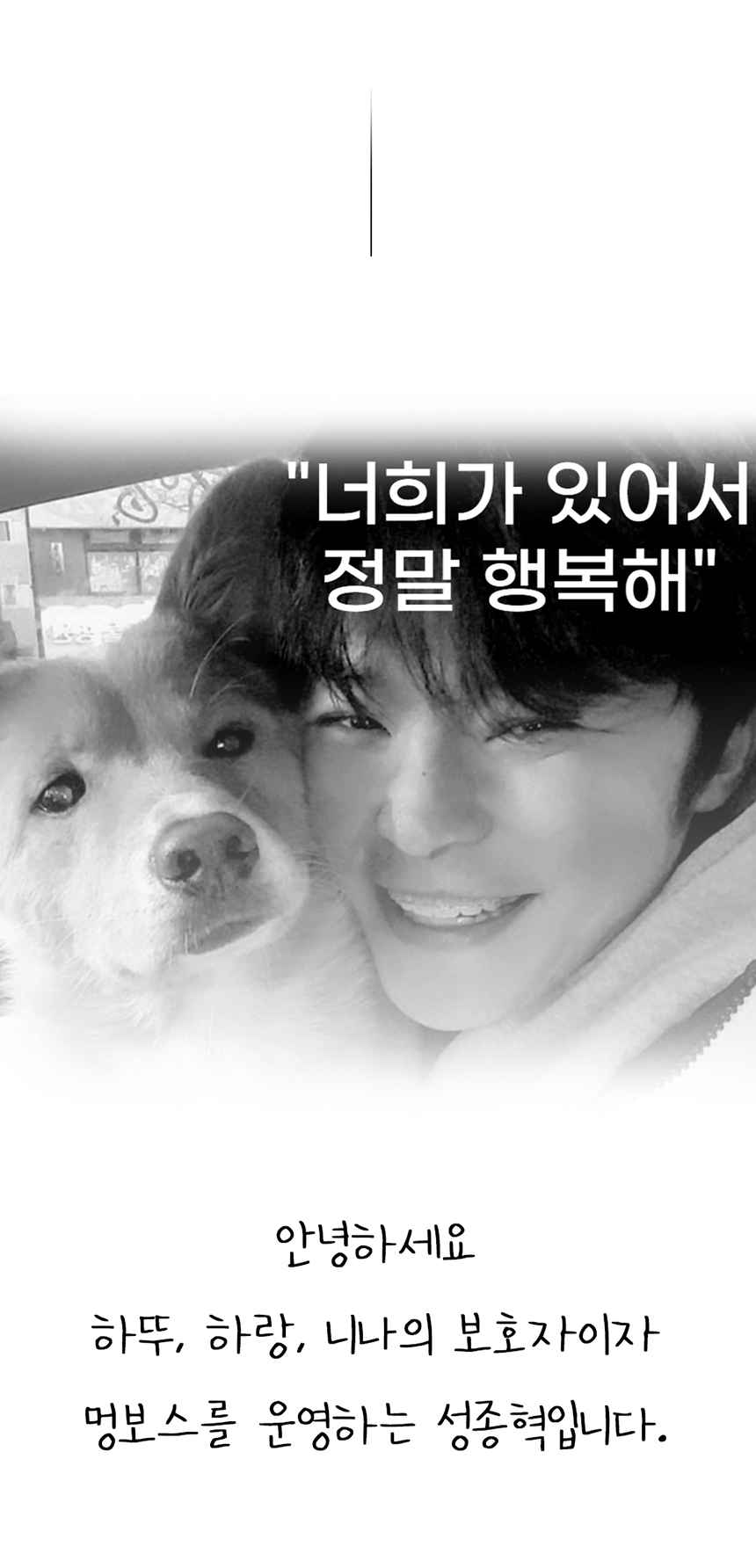 [무료배송] 멍보스 댕산균 국제 PCT 특허 유산균 프로바이오틱스 영양제 60g 4번째