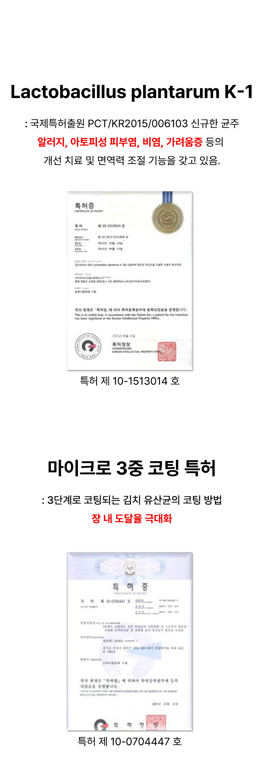 [무료배송] 멍보스 댕산균 국제 PCT 특허 유산균 프로바이오틱스 영양제 60g 11번째