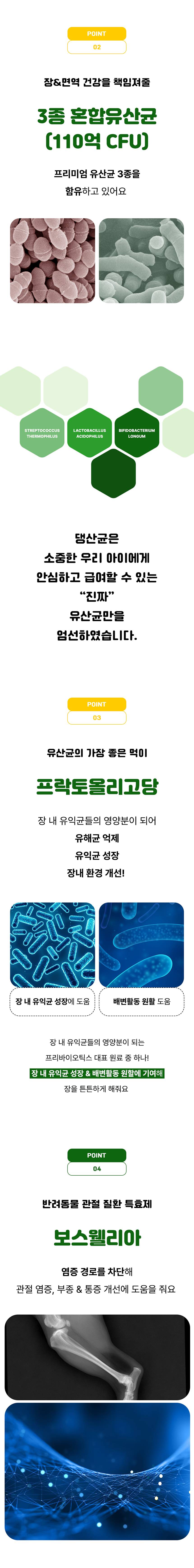 [무료배송] 멍보스 댕산균 국제 PCT 특허 유산균 프로바이오틱스 영양제 60g 20번째