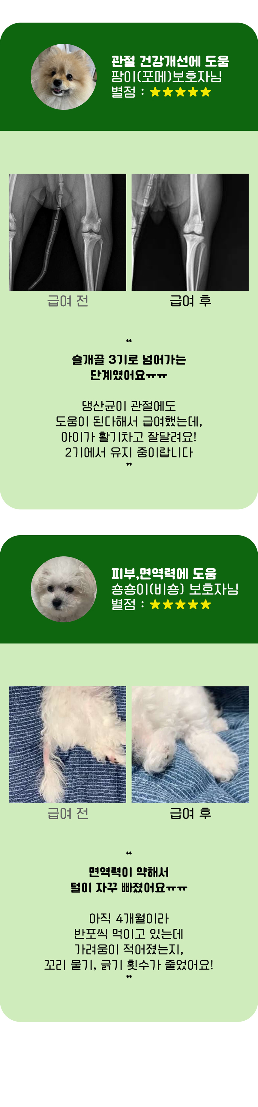 [무료배송] 멍보스 댕산균 국제 PCT 특허 유산균 프로바이오틱스 영양제 60g 9번째