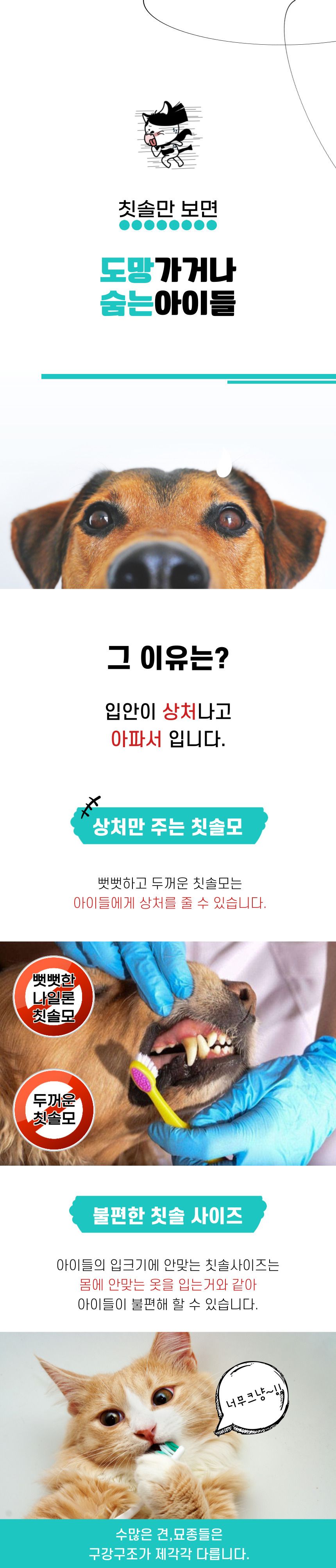 원헬스 실리콘 칫솔 핑크 중형 5번째