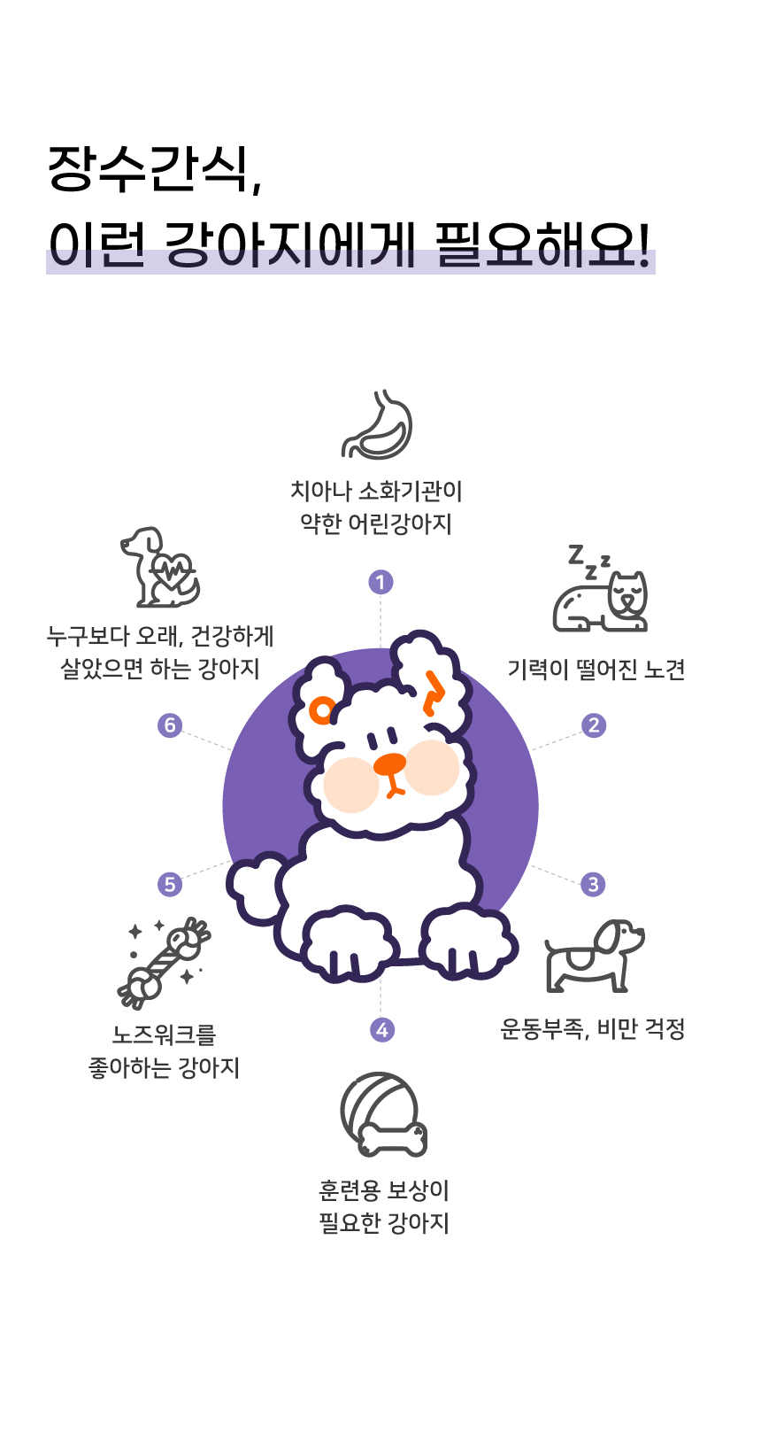 [무료배송][10개] 오래살개 장수간식 100g 6번째