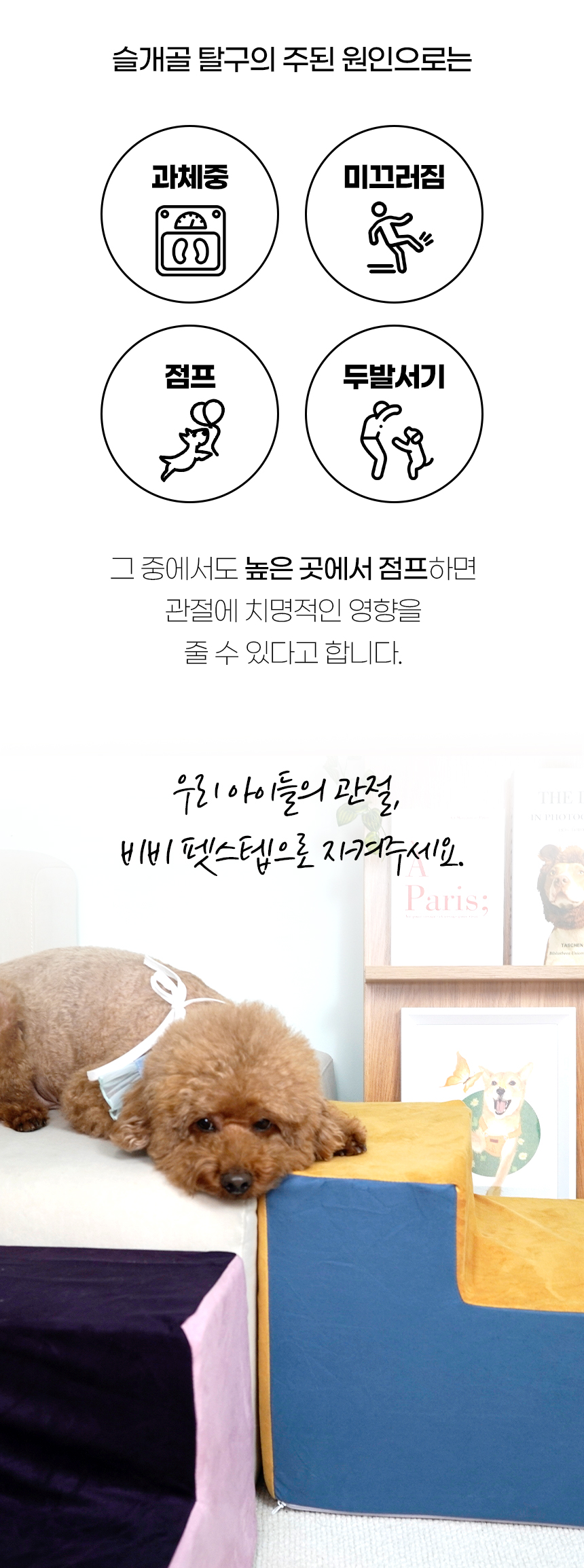 [NEW신상][무료배송] 개과천선 독 비비 펫스텝 계단 (퍼플/머스터드/베이지) 5번째