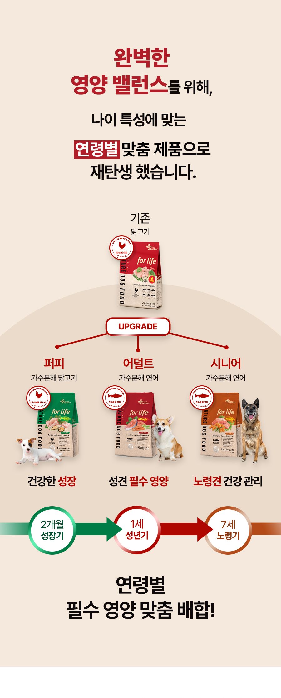 마이펫닥터 독 시그니쳐 포 라이프 어덜트 2kg 1번째