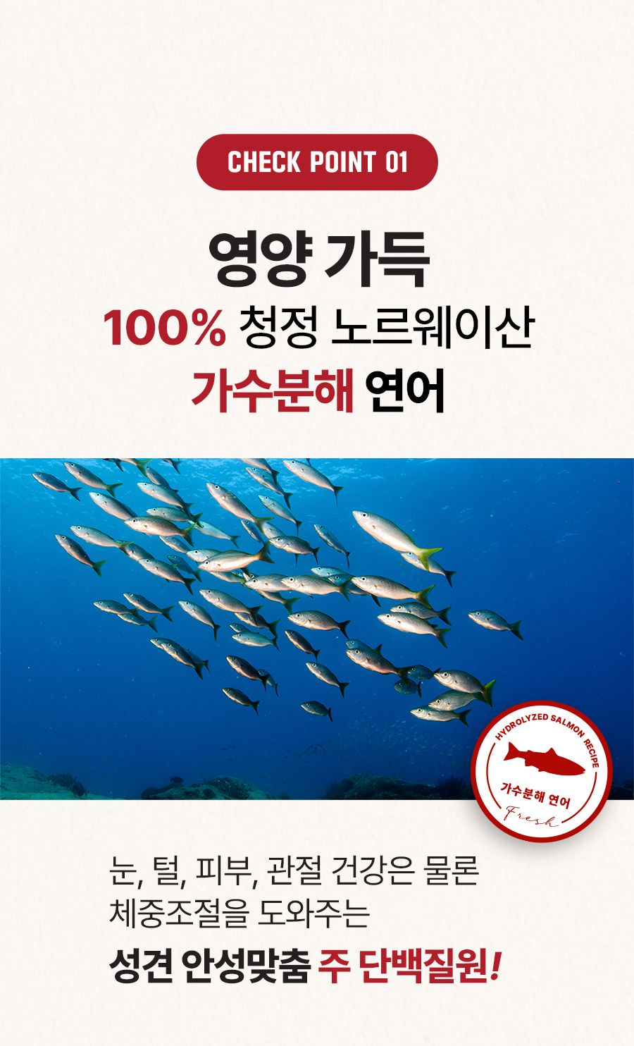 마이펫닥터 독 시그니쳐 포 라이프 어덜트 2kg 6번째