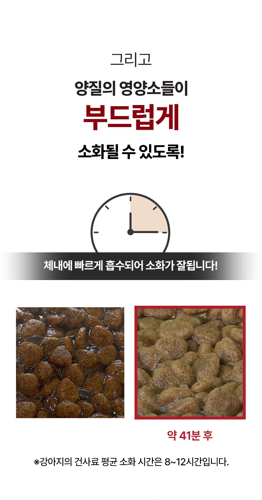 마이펫닥터 독 시그니쳐 포 라이프 어덜트 2kg 9번째