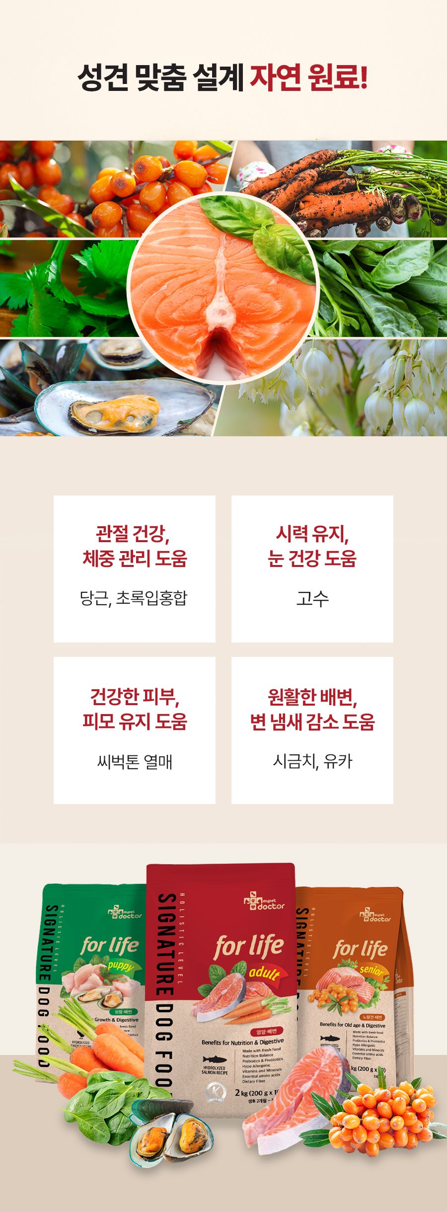 마이펫닥터 독 시그니쳐 포 라이프 어덜트 2kg 8번째