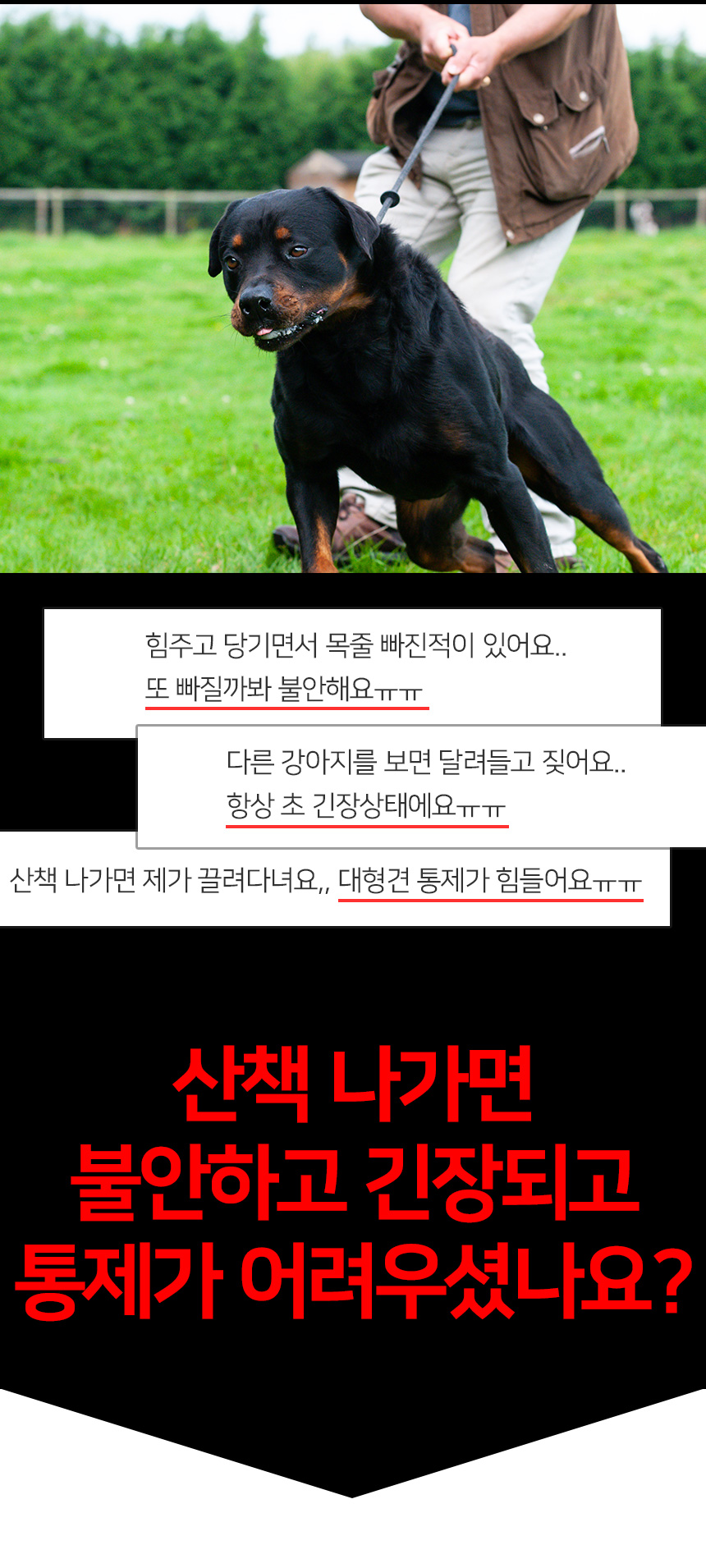 [무료배송] 멍템 반초크 체인 베이지/레드/핑크/오렌지/그린/블루/블랙 S-L 5번째