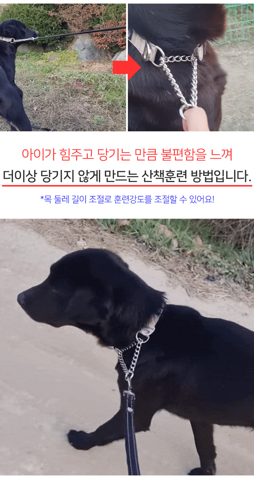 [무료배송] 멍템 반초크 체인 베이지/레드/핑크/오렌지/그린/블루/블랙 S-L 10번째
