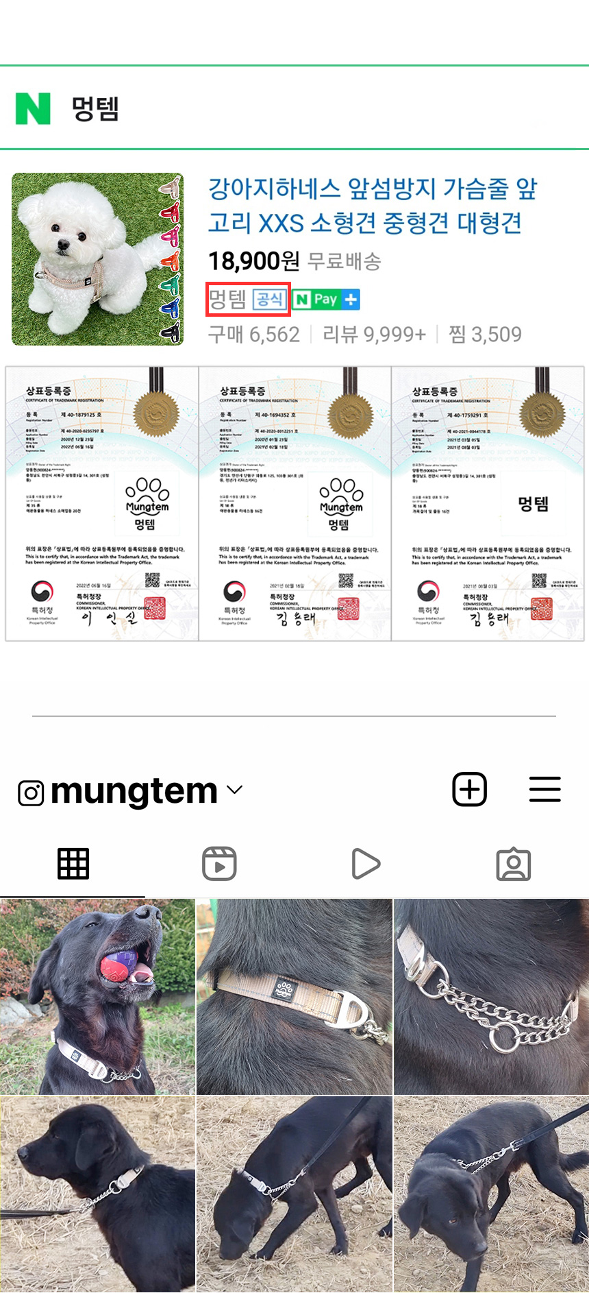 [무료배송] 멍템 반초크 체인 베이지/레드/핑크/오렌지/그린/블루/블랙 S-L 3번째