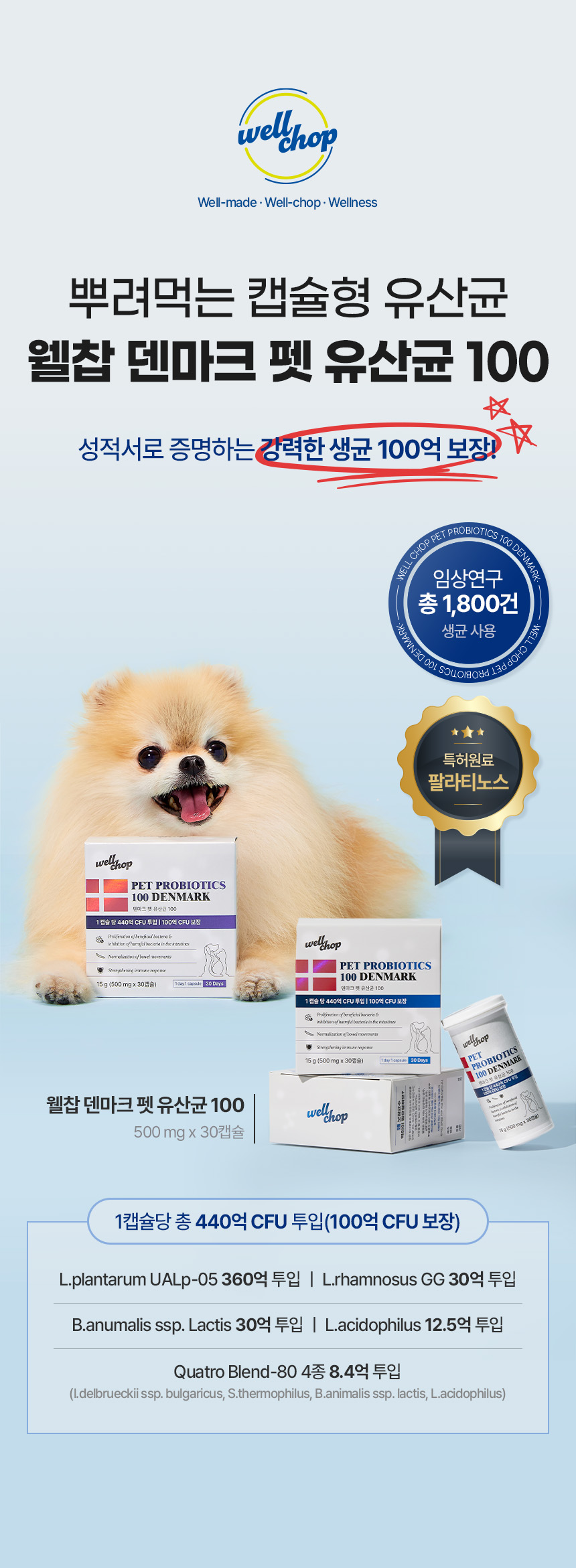 웰찹 덴마크 펫 유산균 100 500mg 30일 6번째
