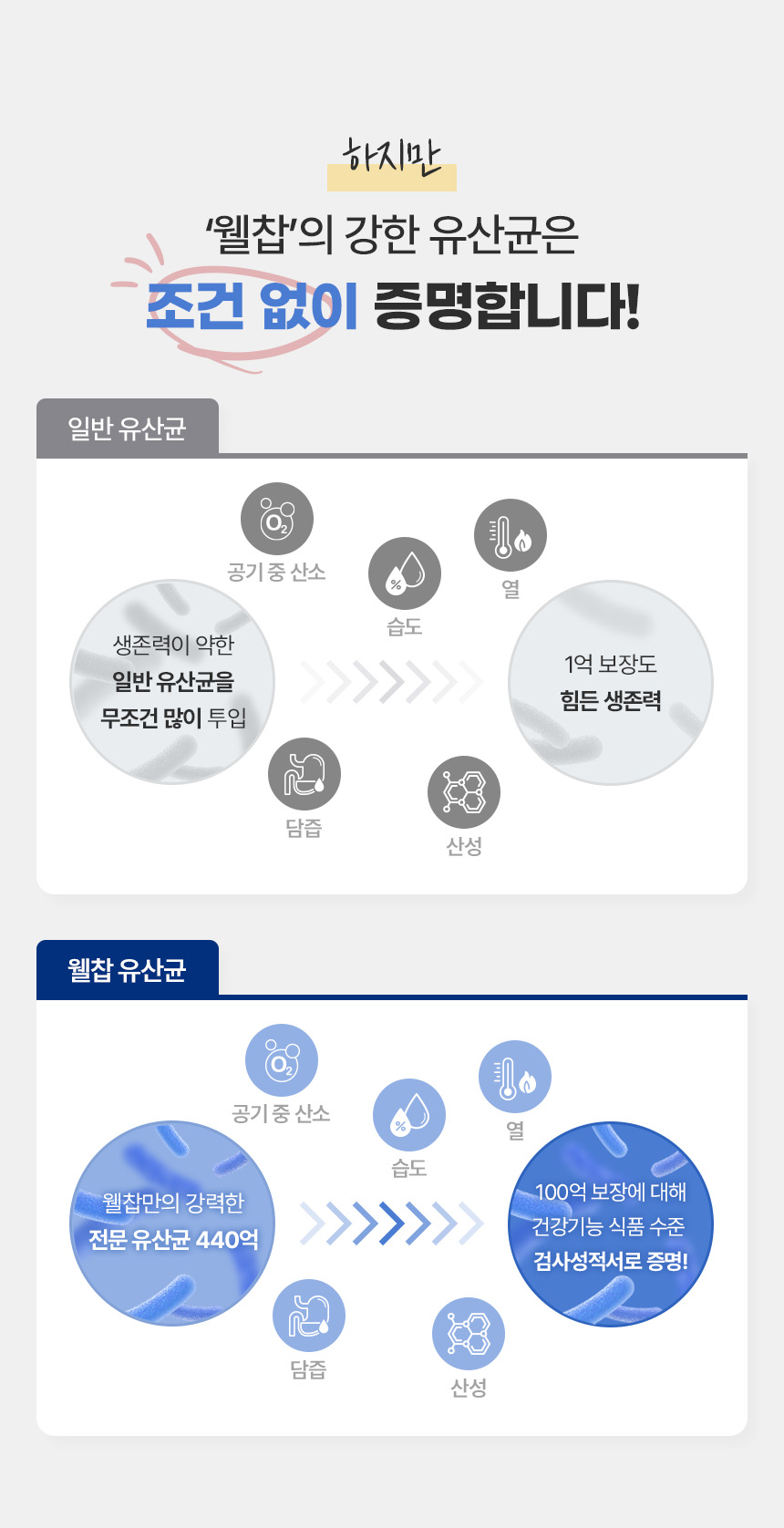 웰찹 덴마크 펫 유산균 100 500mg 30일 3번째