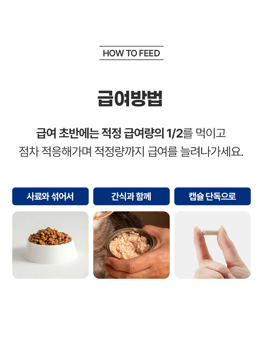 웰찹 덴마크 펫 유산균 100 500mg 30일 20번째