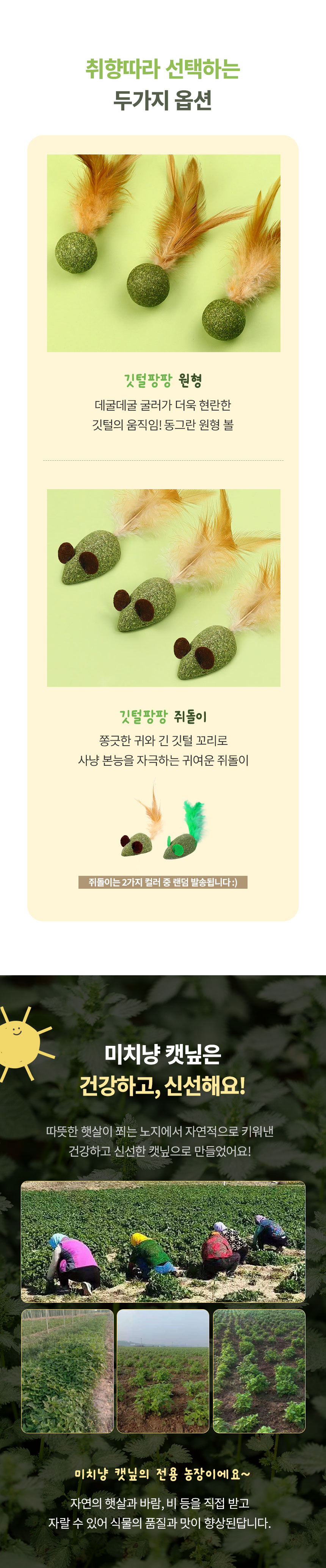 [무료배송] [3개] 크레용펫 미치냥 깃털팡팡 캣닢볼 3번째