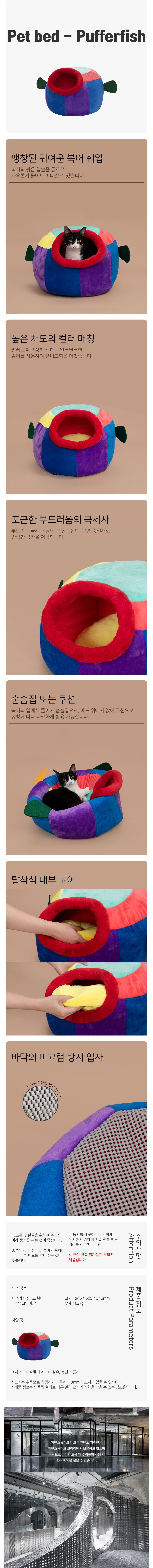 피단 펫베드 복어 1번째