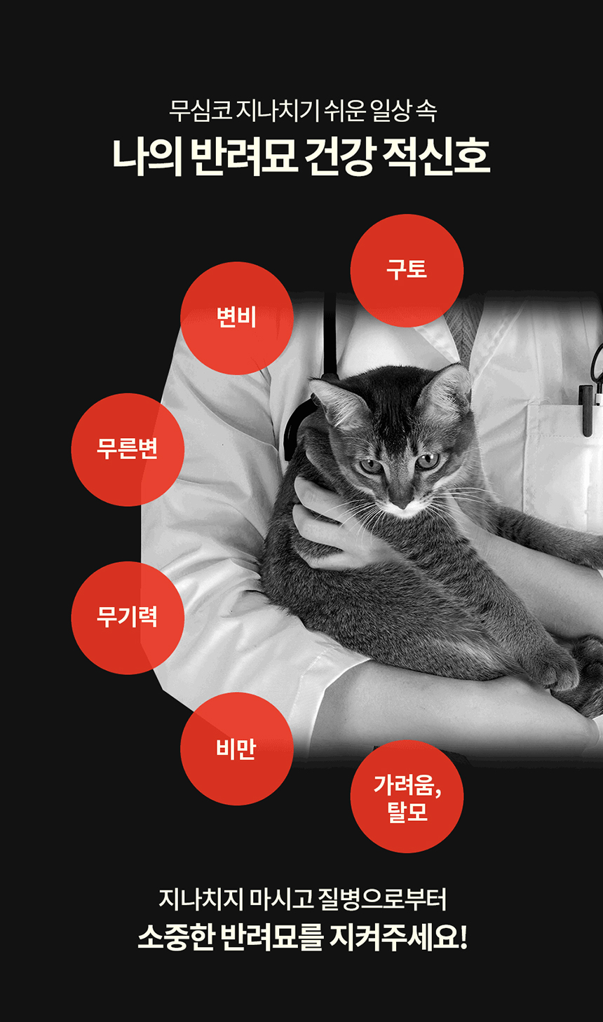 프롬한라 캣 골드&슬림 유산균 60g 5번째