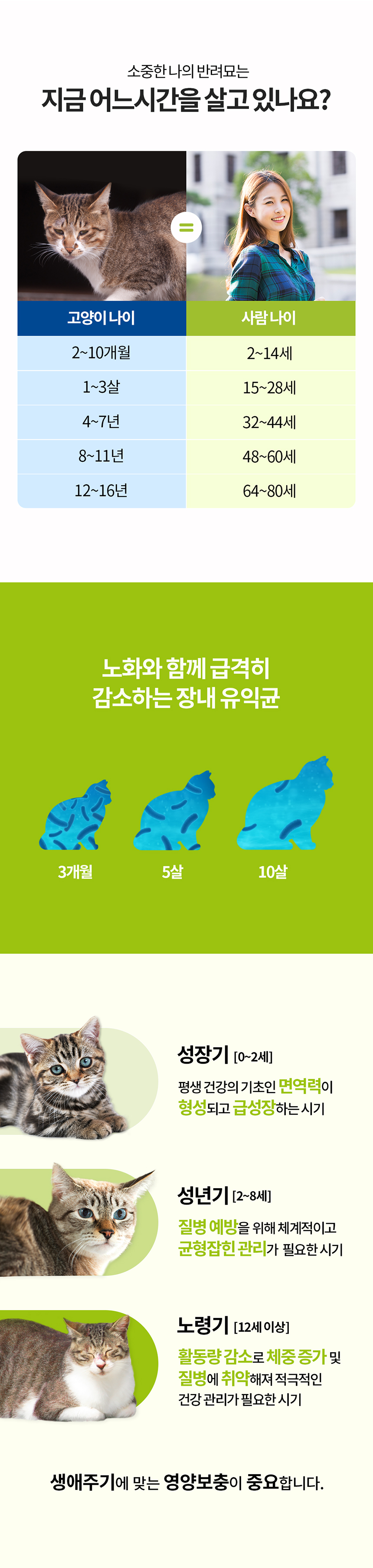 프롬한라 캣 골드&슬림 유산균 60g 6번째