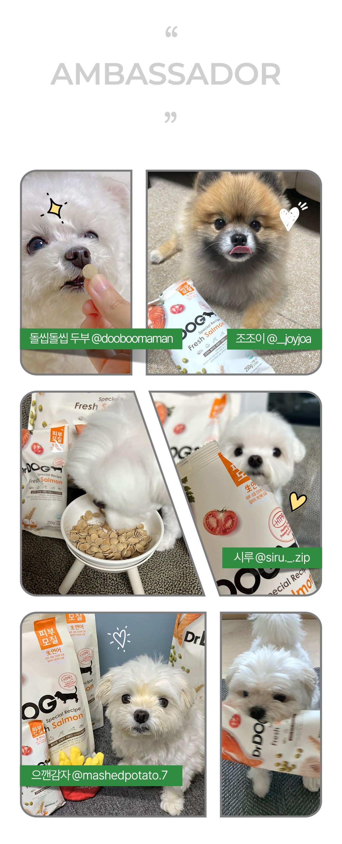 [사료샘플] 닥터독 위장사료 250g 15번째