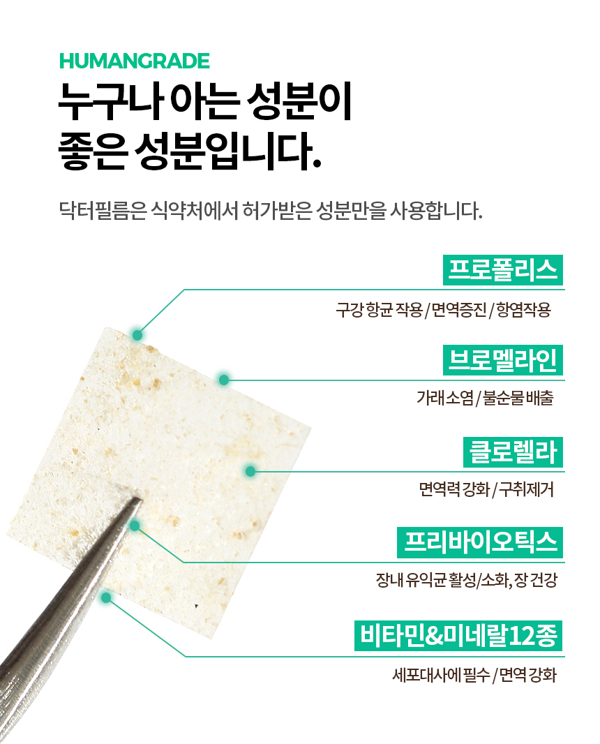 [무료배송] 닥터필름 브레스 프로폴리스 브로멜라인 필름 영양제 기관지 기도협착 기침 보조제 30포 12번째