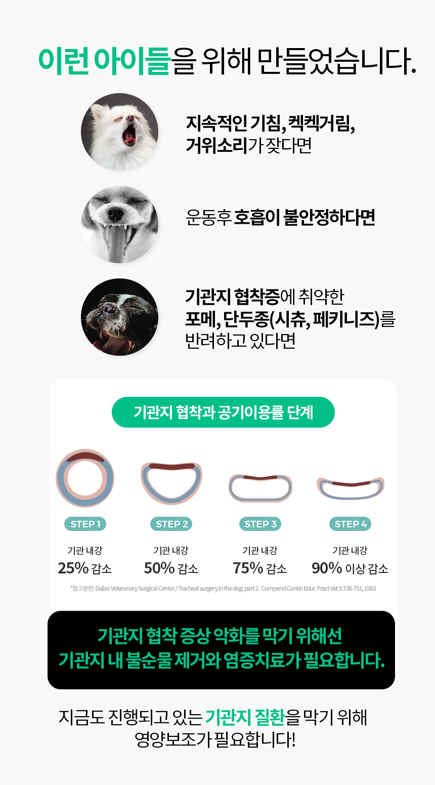 [무료배송] 닥터필름 브레스 프로폴리스 브로멜라인 필름 영양제 기관지 기도협착 기침 보조제 30포 5번째