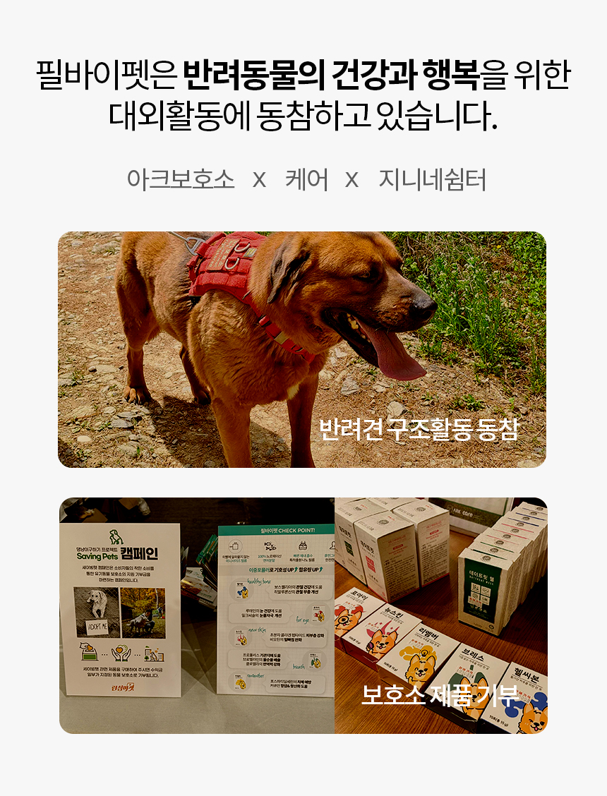 [무료배송] 닥터필름 브레스 프로폴리스 브로멜라인 필름 영양제 기관지 기도협착 기침 보조제 30포 21번째