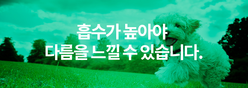 [무료배송] 닥터필름 브레스 프로폴리스 브로멜라인 필름 영양제 기관지 기도협착 기침 보조제 30포 6번째