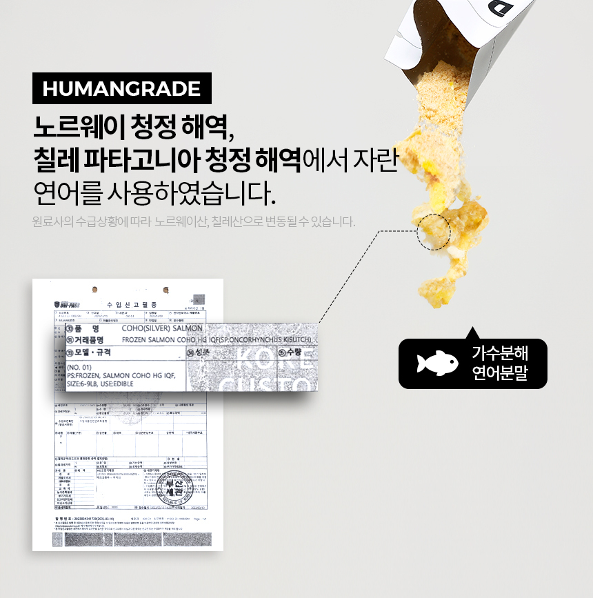 [무료배송] 닥터필름 브레스 프로폴리스 브로멜라인 필름 영양제 기관지 기도협착 기침 보조제 30포 15번째