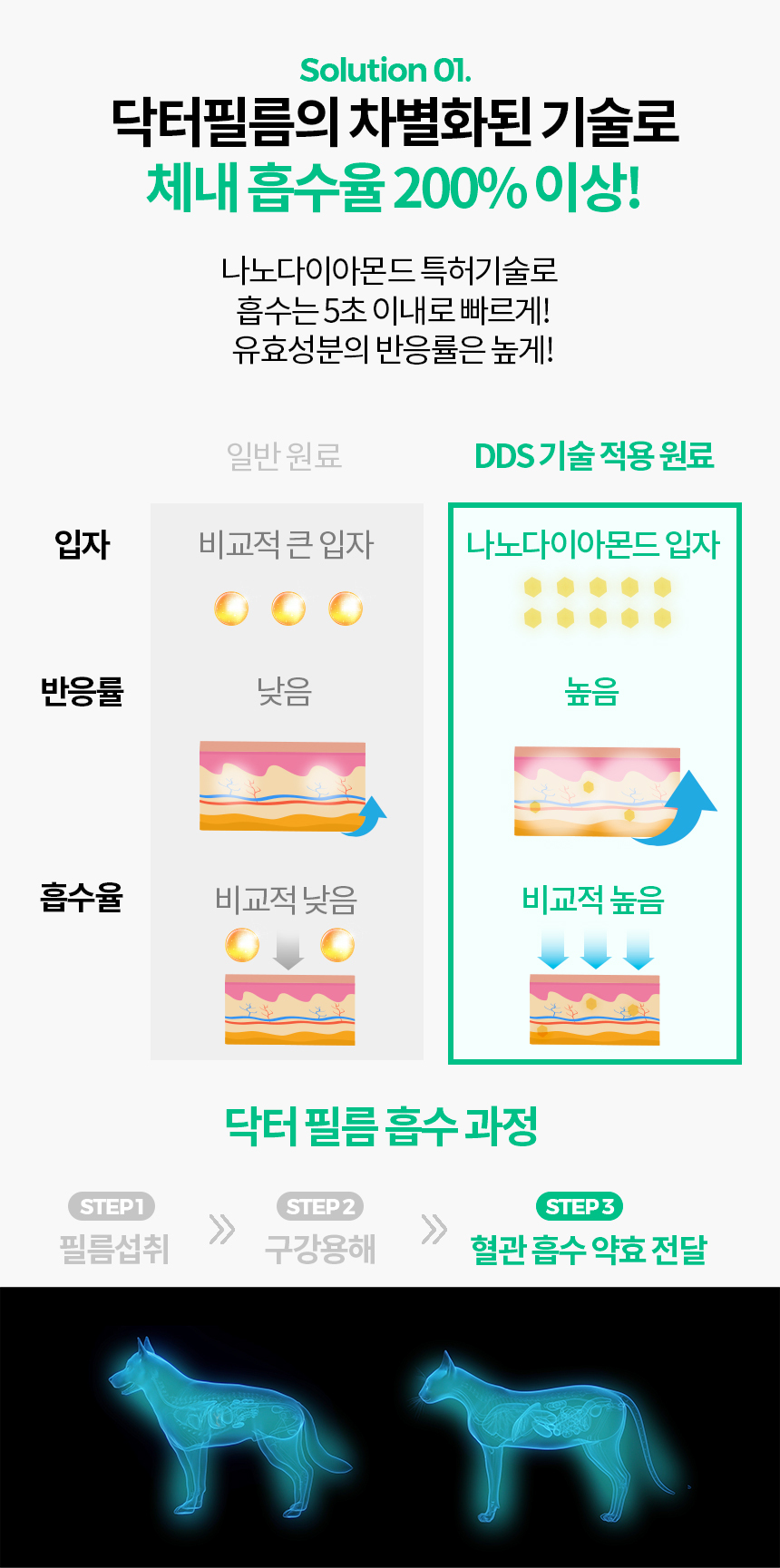 [무료배송] 닥터필름 브레스 프로폴리스 브로멜라인 필름 영양제 기관지 기도협착 기침 보조제 30포 8번째