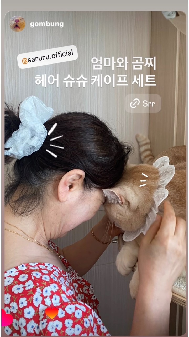 [NEW신상][무료배송] 사루루 srr 커플 헤어슈슈 헤어크런치 18번째
