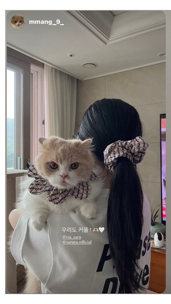 [NEW신상][무료배송] 사루루 srr 커플 헤어슈슈 헤어크런치 5번째