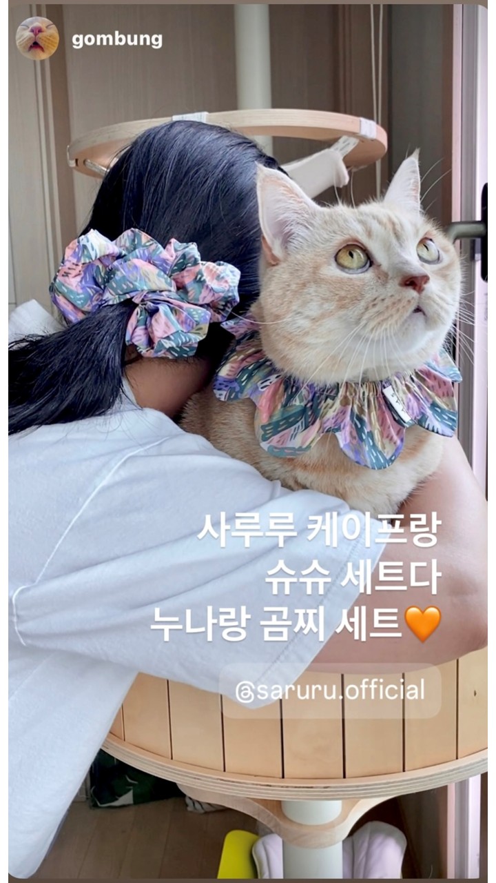 [NEW신상][무료배송] 사루루 srr 커플 헤어슈슈 헤어크런치 7번째