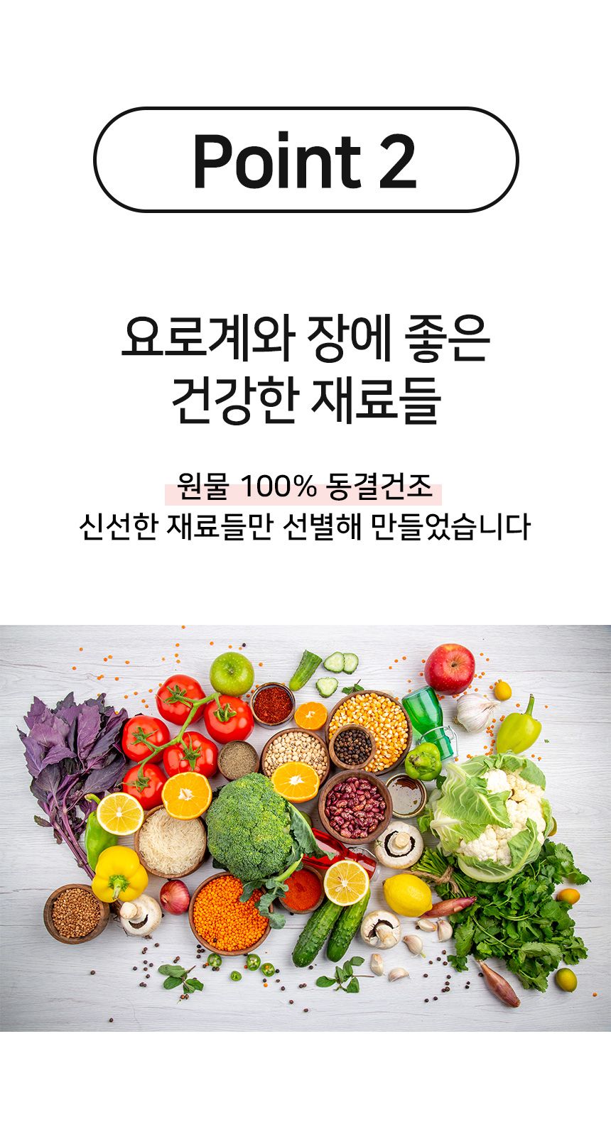 [무료배송][2개] 버디펫 유산균 퐁당 토핑트릿 치킨 35g 15번째