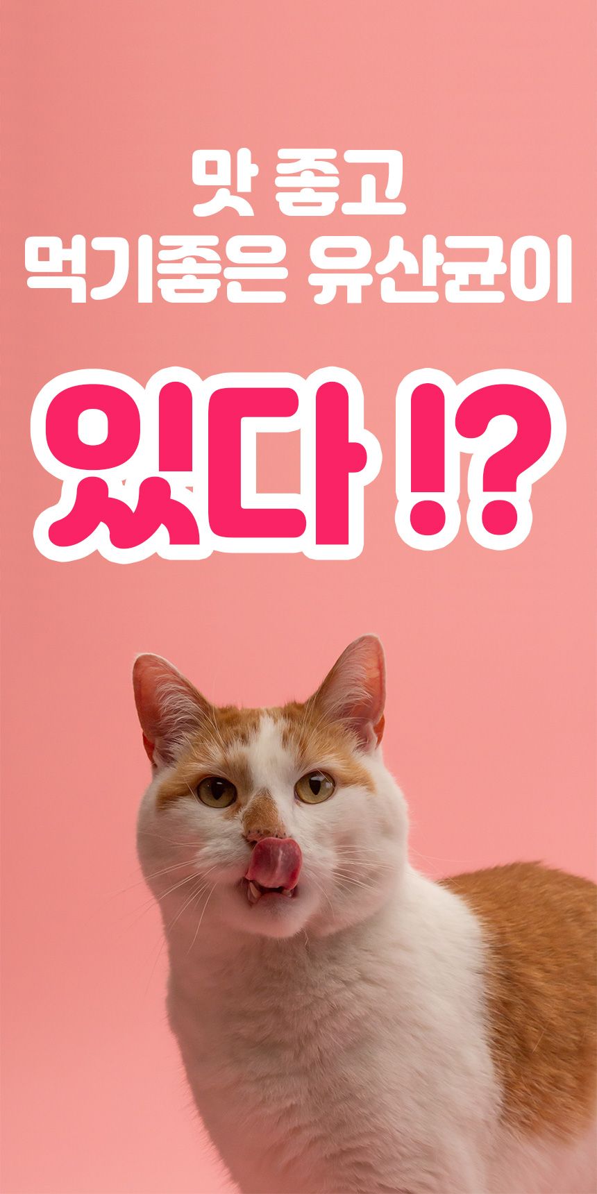 [무료배송][2개] 버디펫 유산균 퐁당 토핑트릿 치킨 35g 1번째