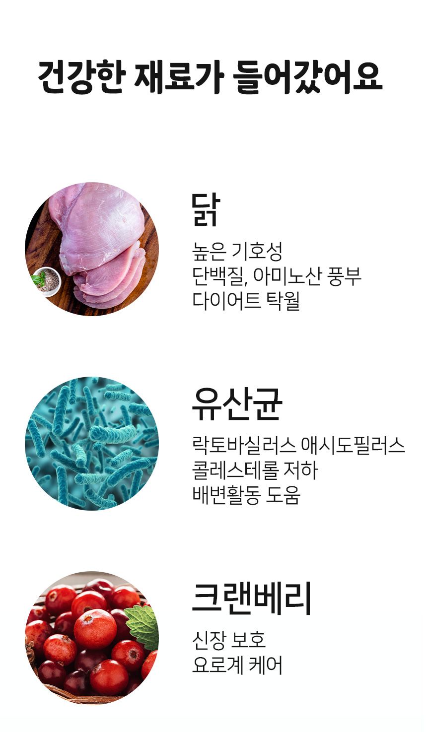 [무료배송][2개] 버디펫 유산균 퐁당 토핑트릿 치킨 35g 8번째