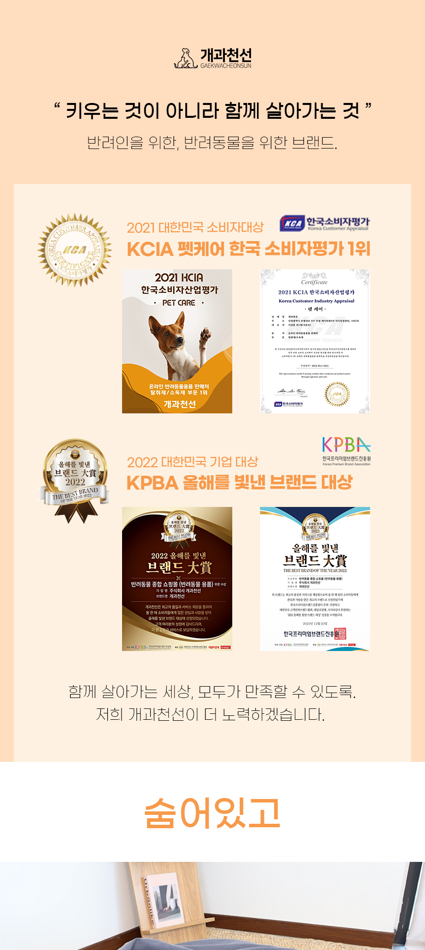 [NEW신상][무료배송] 개과천선 하이드 반려동물 방석 (크림아이보리/애쉬그레이) 2번째