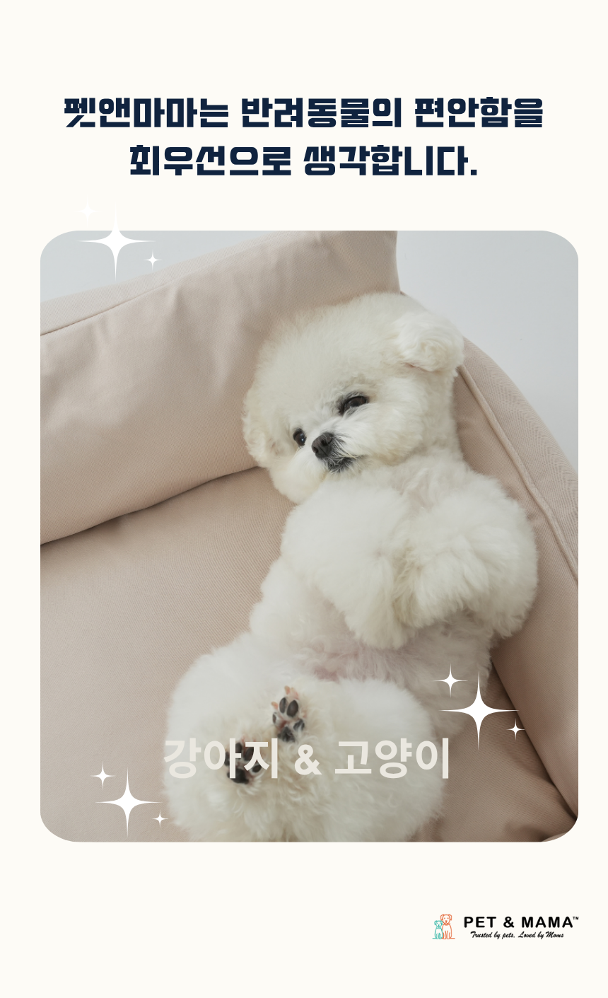[NEW신상][무료배송] 펫앤마마 등받이 마약방석 5종 (베이지/핑크/라이트그린/그레이/블루베이지) M~2XL 13번째