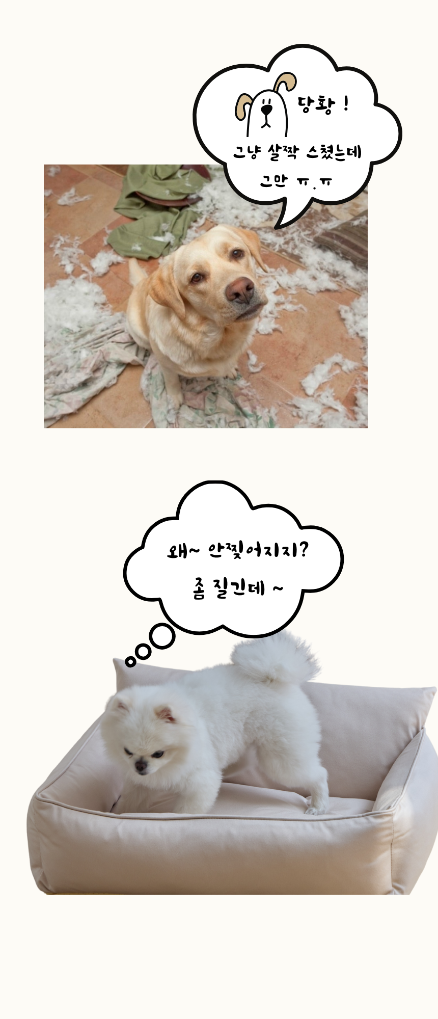 [무료배송] 펫앤마마 등받이 마약방석 5종 (베이지/핑크/라이트그린/그레이/블루베이지) M~2XL 7번째