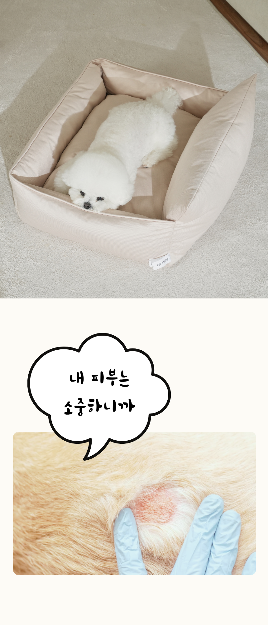 [NEW신상][무료배송] 펫앤마마 등받이 마약방석 5종 (베이지/핑크/라이트그린/그레이/블루베이지) M~2XL 11번째
