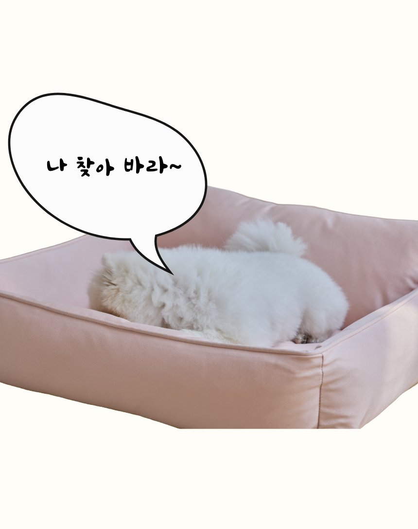 [무료배송] 펫앤마마 등받이 마약방석 5종 (베이지/핑크/라이트그린/그레이/블루베이지) M~2XL 4번째