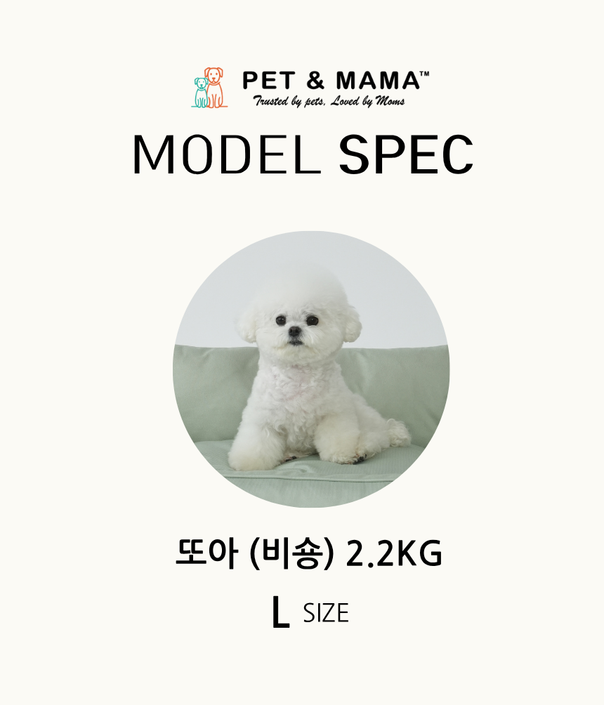 [NEW신상][무료배송] 펫앤마마 등받이 마약방석 5종 (베이지/핑크/라이트그린/그레이/블루베이지) M~2XL 26번째