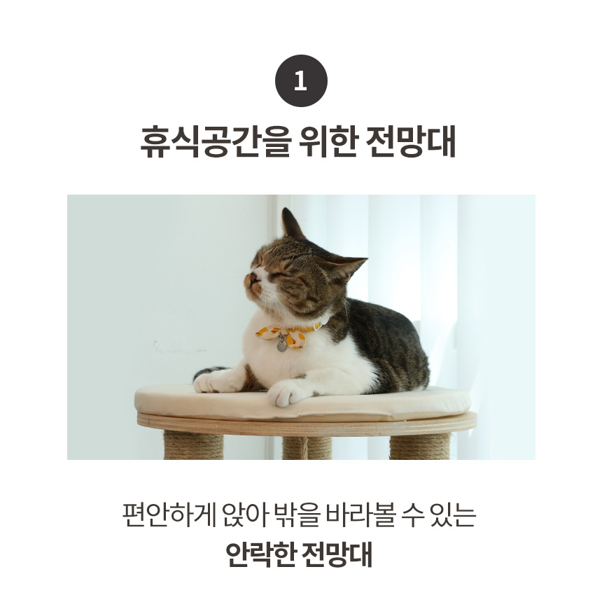 [무료배송] 펫토리아 GP 미니 고양이 원목 캣타워 스크래쳐 87cm 10번째