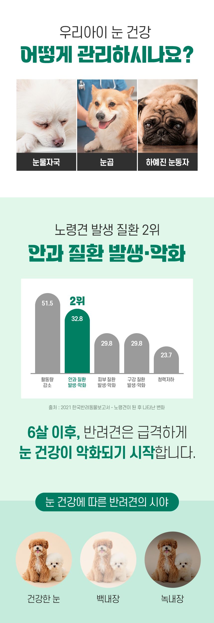 [건강구조대]펫생각 독 데일리케얼 리얼 루테인 눈 영양제 2개월분 120g 3번째