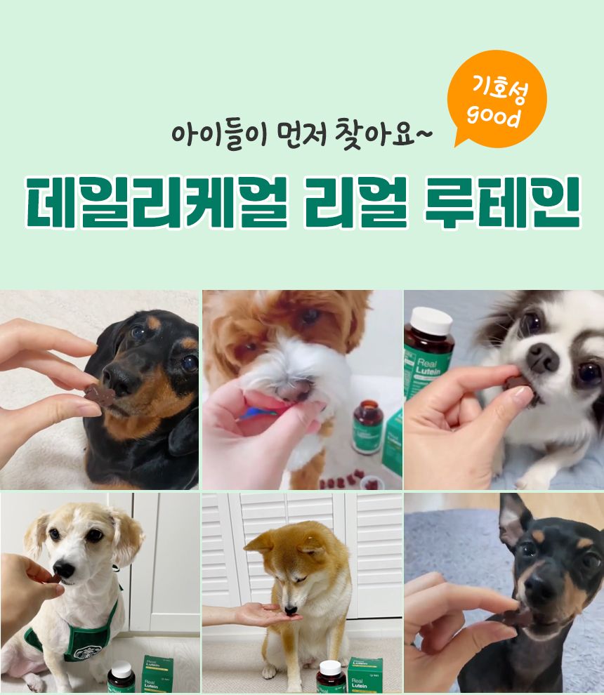 [건강구조대]펫생각 독 데일리케얼 리얼 루테인 눈 영양제 2개월분 120g 5번째